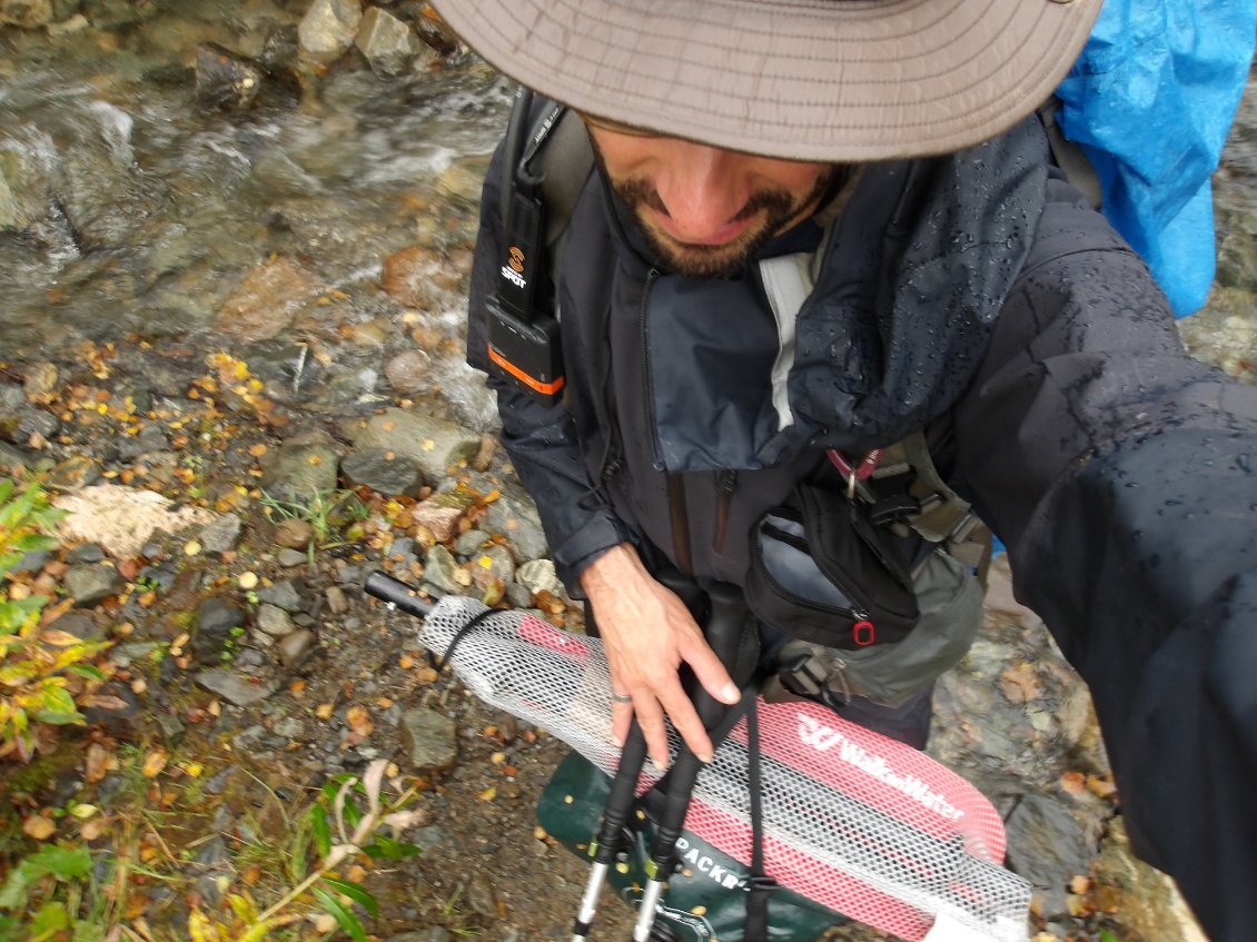 Positionnement ventral du barda au milieu d'une végétation dense