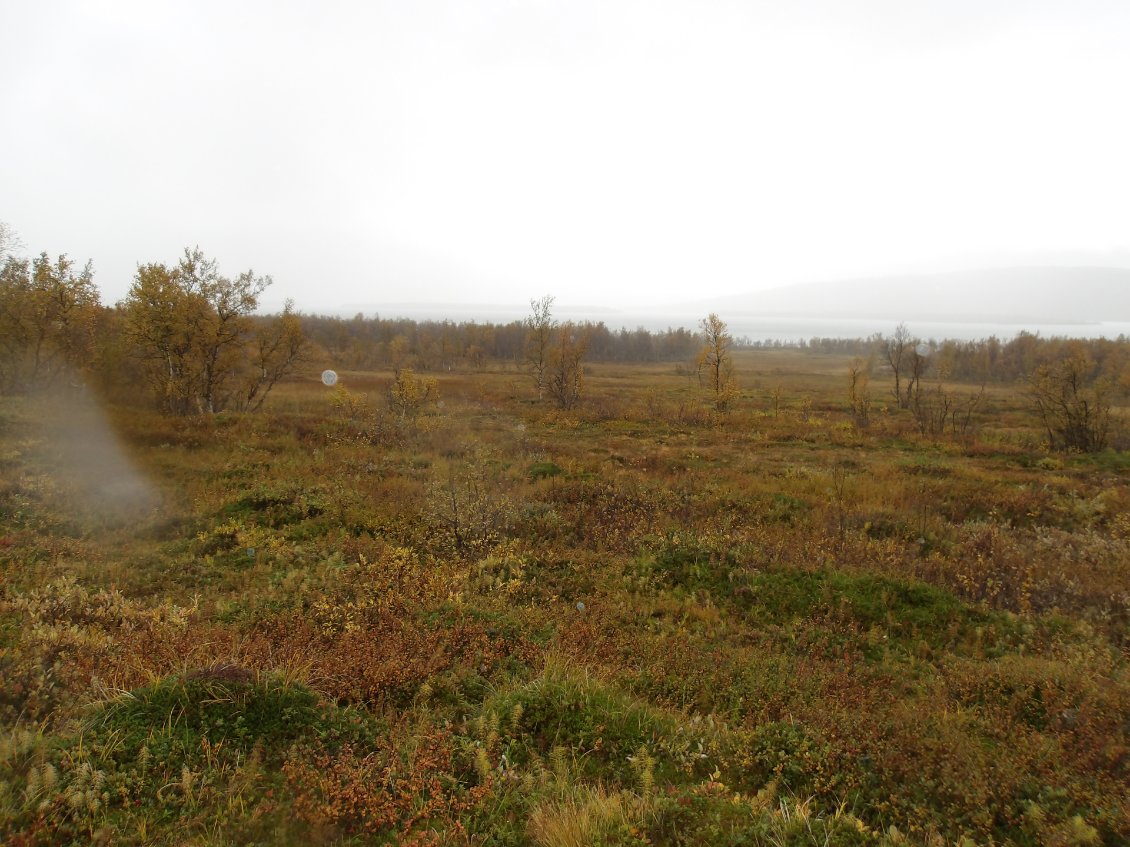 Les marécages infernaux de l'adorable petite plaine...