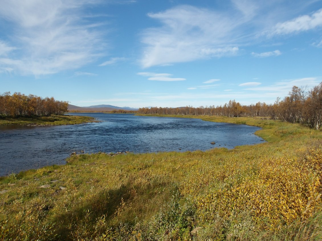 Devant la cabane de Riehkku, je suis sorti des bouleaux au fond à droite !