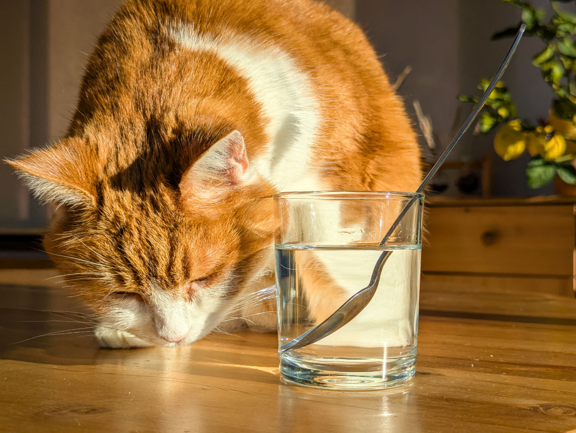 Les halos dans le ciel