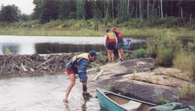 toujours les castors !