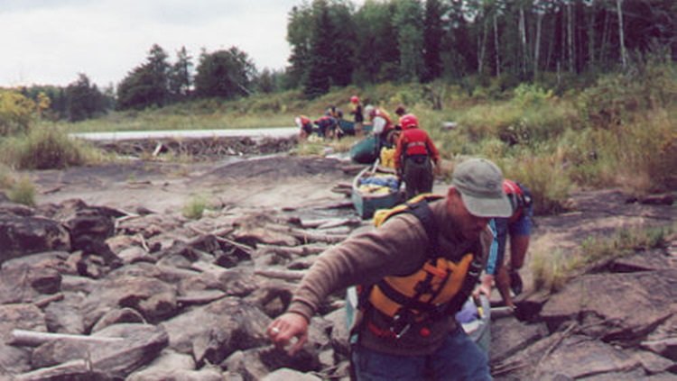 Encore les castors !