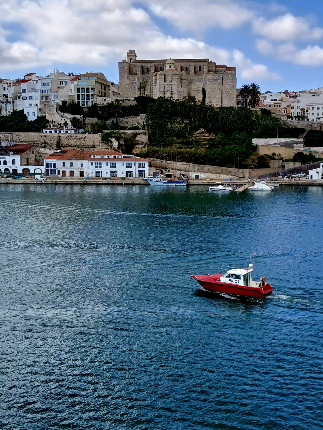 Port-Mahon, bateau pilote. 