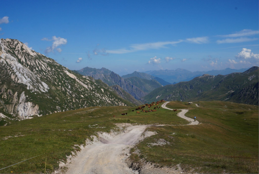 Descente sur la Tarentaise