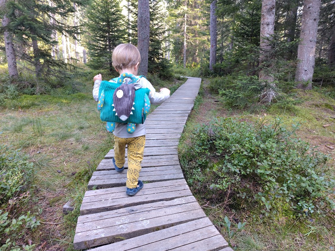 sentier sur la tourbière des glières