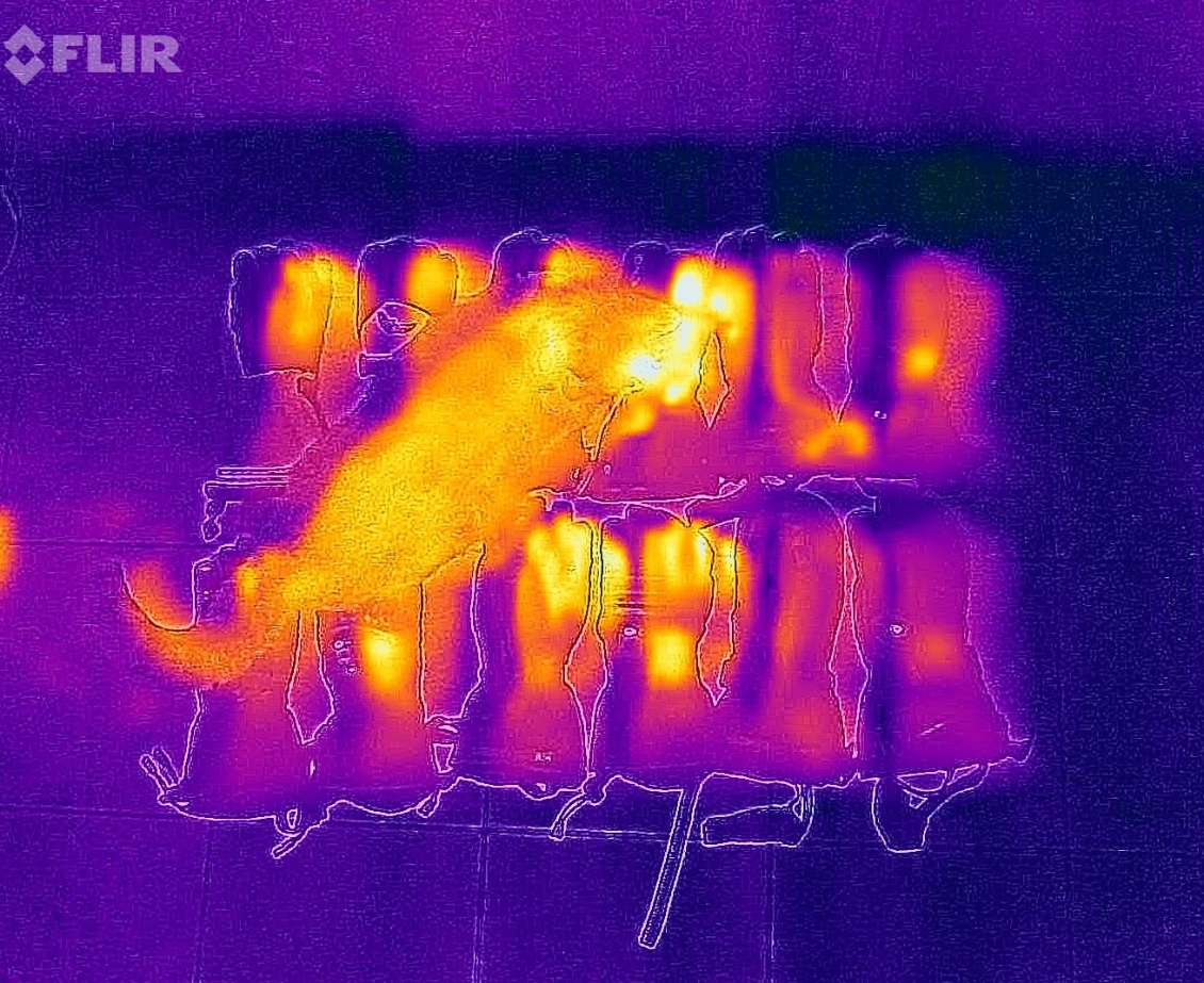 Potiron et, de gauche à droite et de haut en bas, à puissance 1 :
Magic 2,
Ekoï Heat Concept 3,
Therm-ic Ultra heat boost gloves,
Racer Connectic 4,
Racer Connectic 5,
Therm-ic Powergloves 3+1