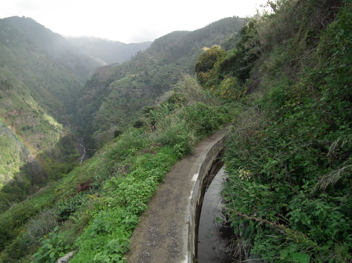 Levadas à Madère.