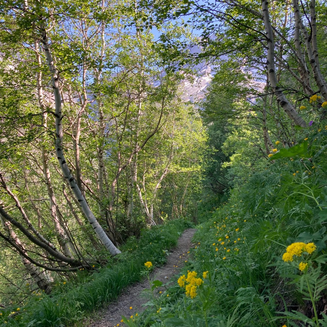 Descente vers Vasenestre
