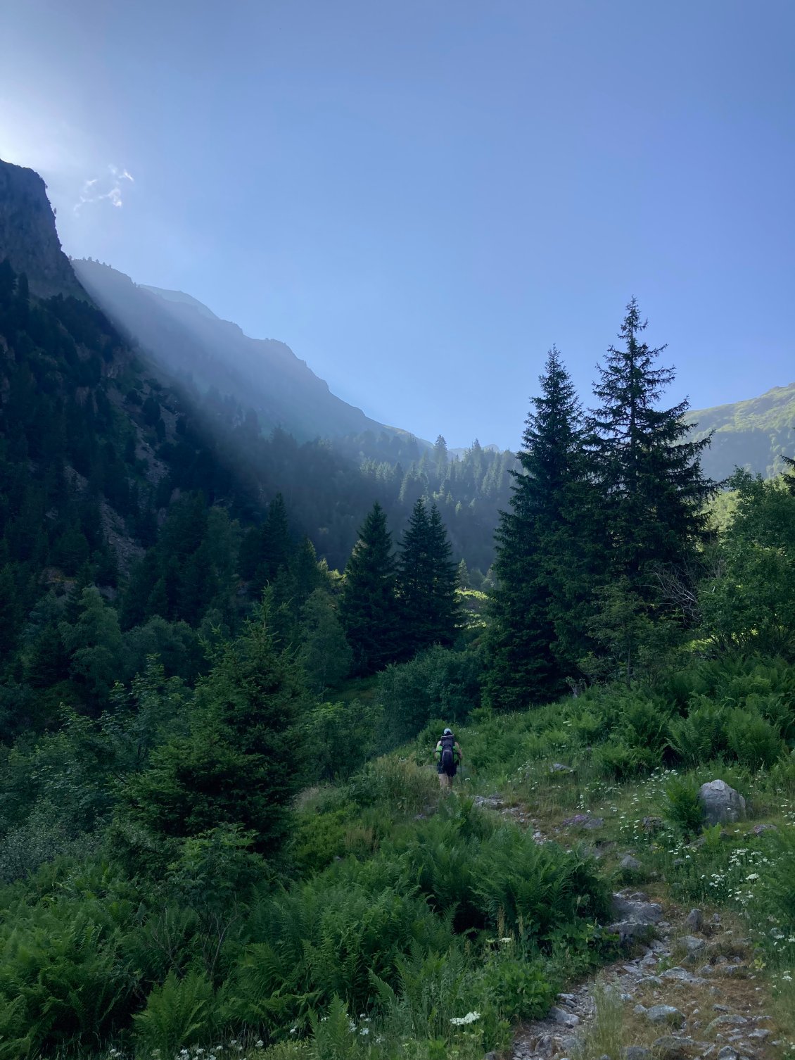 Sortie de la forêt de Fond de France