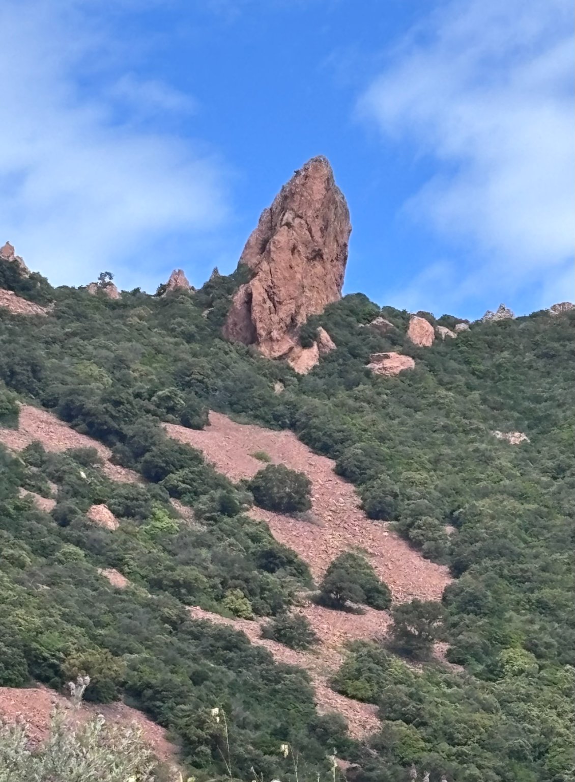 la beauté de l'estérel