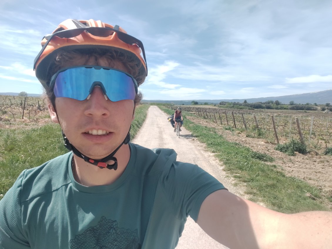 Chemin dans les Vignes et coteaux du Ventoux 