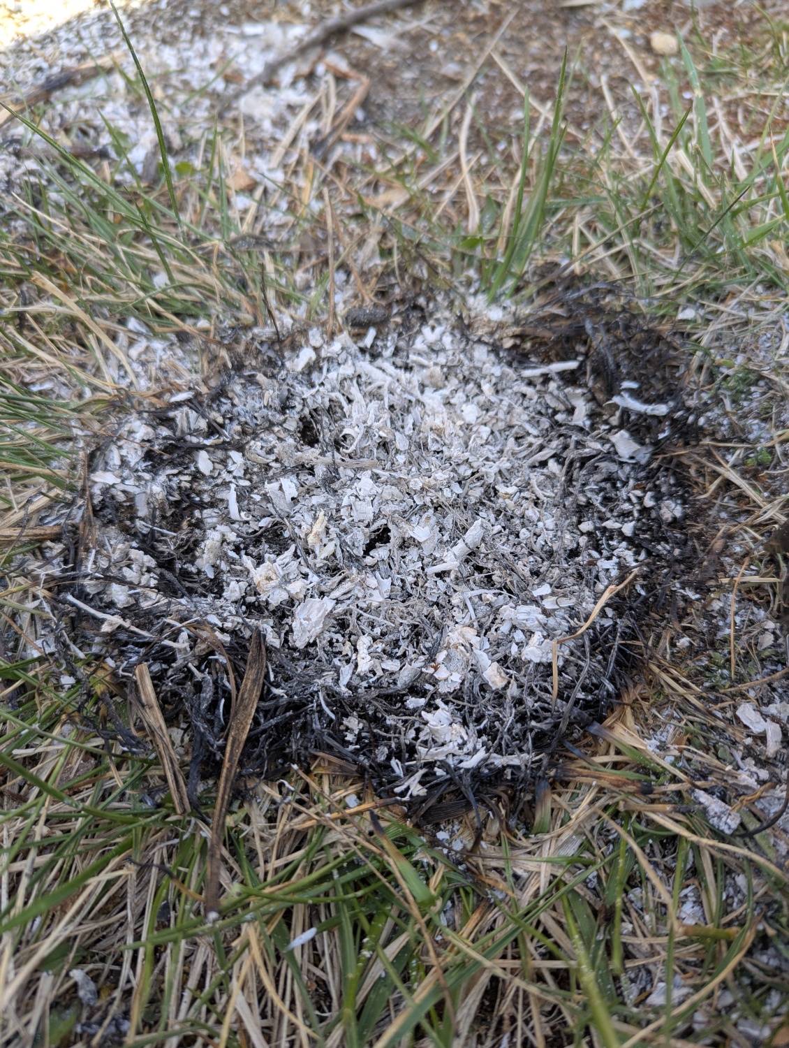 Sans la protection de sol, il est bien cuit !