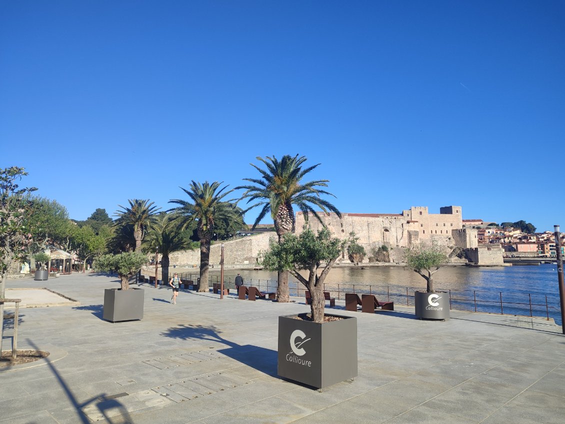 Chateau de Collioure