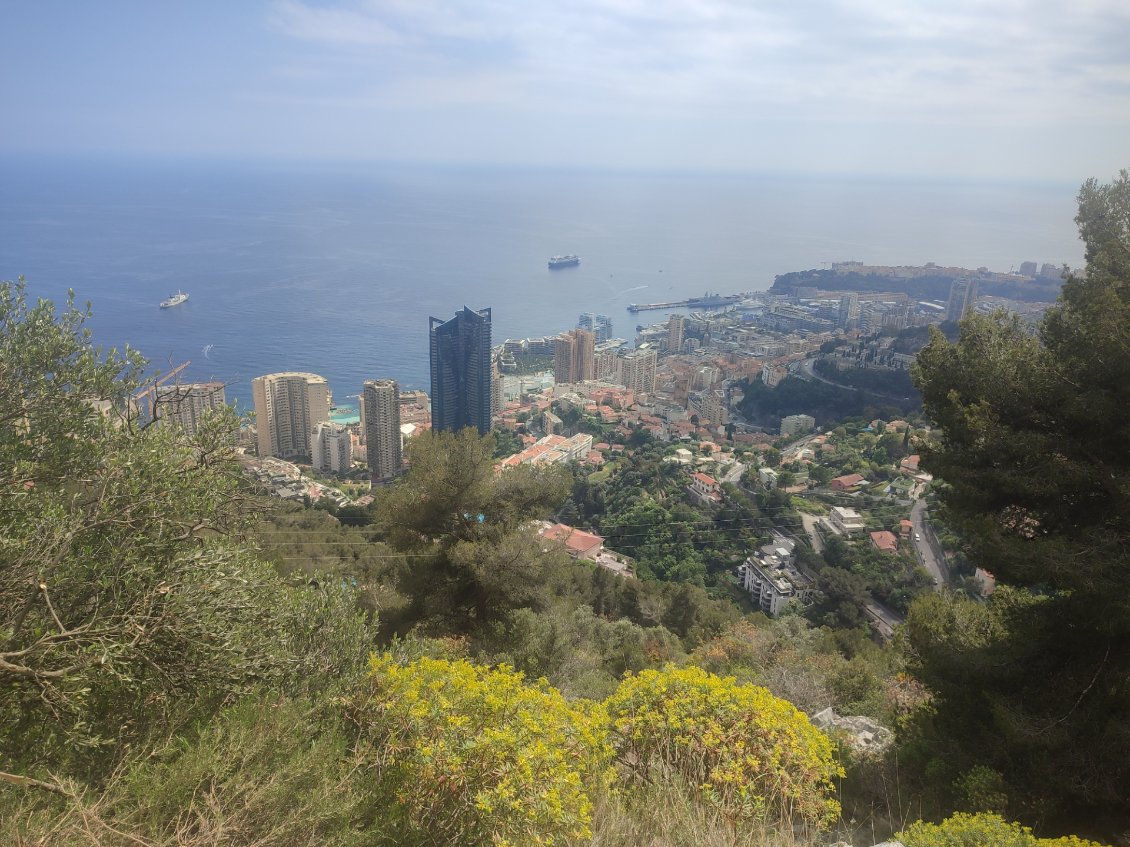 Monaco plus d'en haut