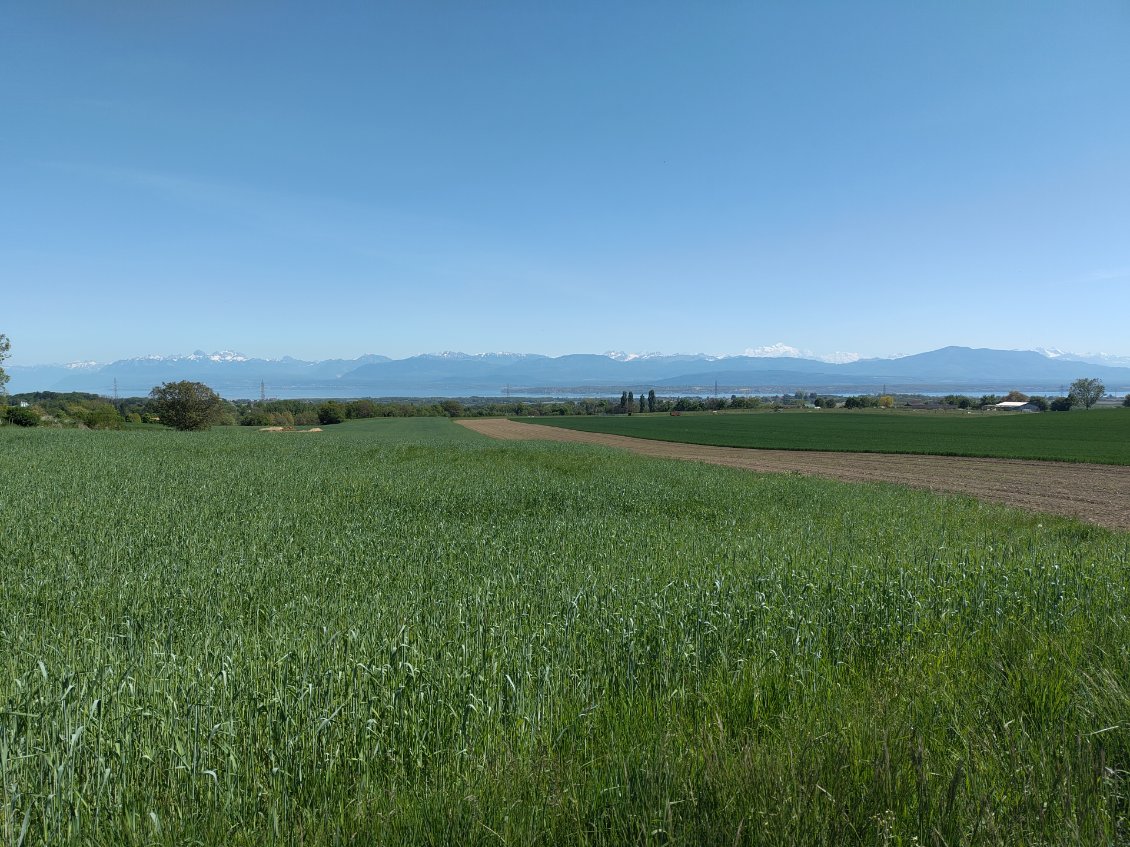 La vue depuis la route : au -dessus du lac, les Alpes en toile de fond !