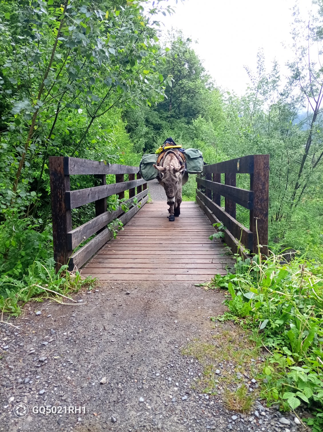 Le passage de passerelles, une formalité 
