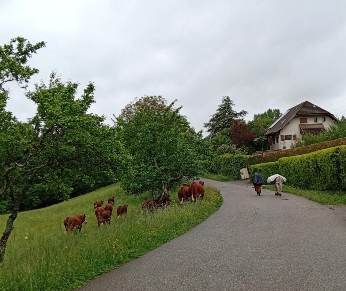 Pépito a des groupies qui lui plaisent moyennement 