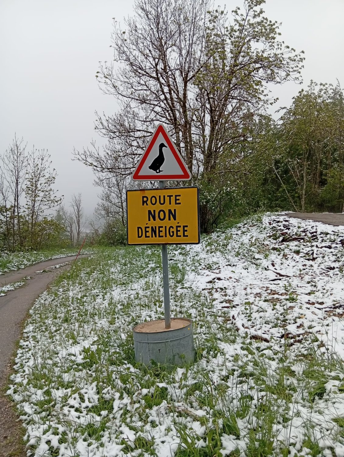 Attention froid de canard