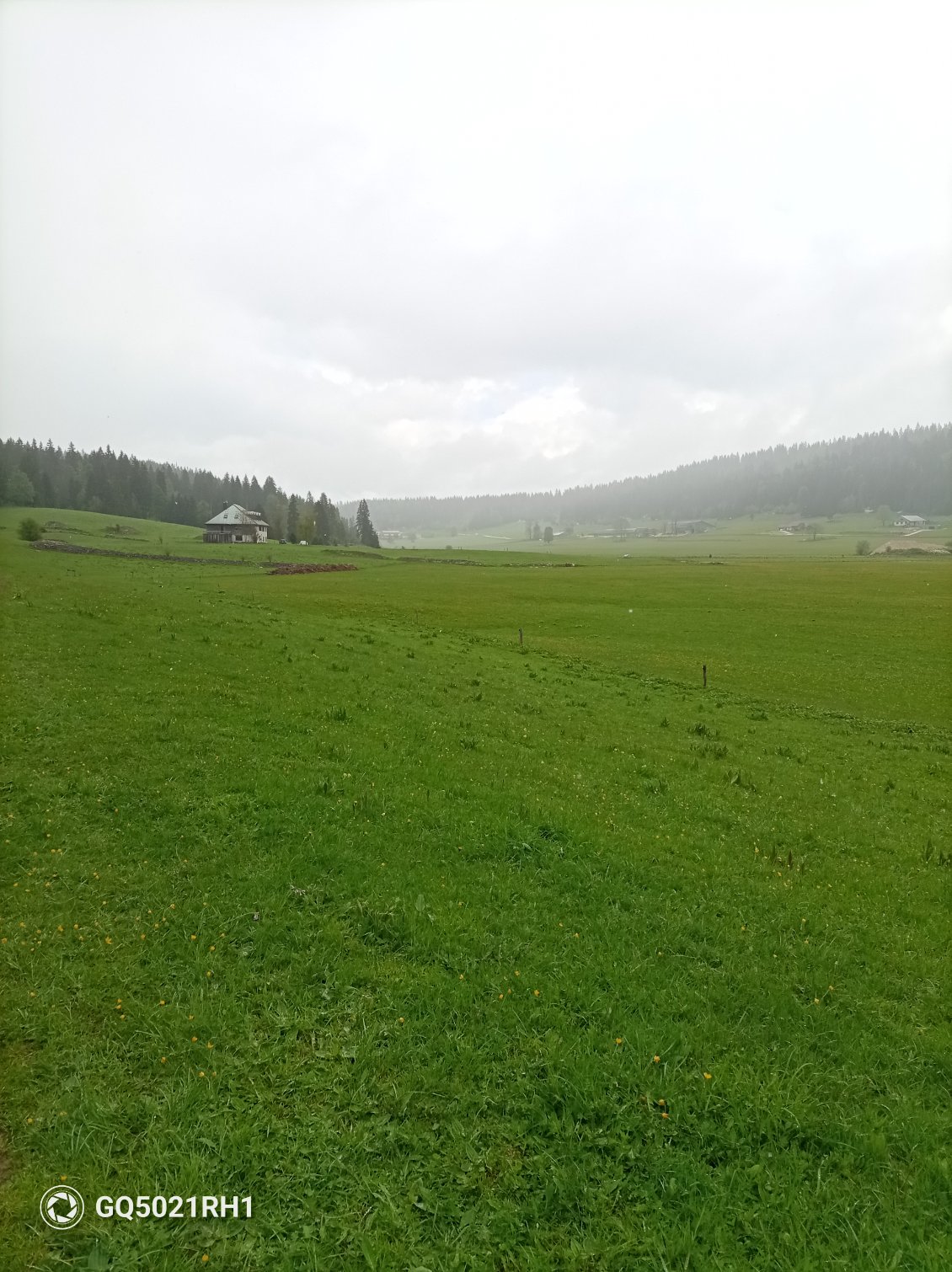 La combe des Cives théâtre d'un affrontement entre les maquisards de l'Ain, du Haut Jura et l'armée allemande en 1944.
