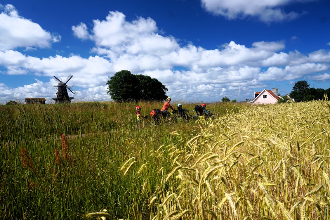 Entre Champs d’orges et Moulin – Kattegatledden - Suède