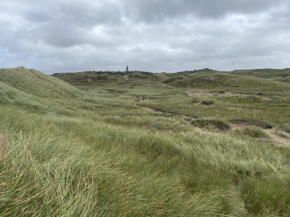 Phare du Thy- Jutland