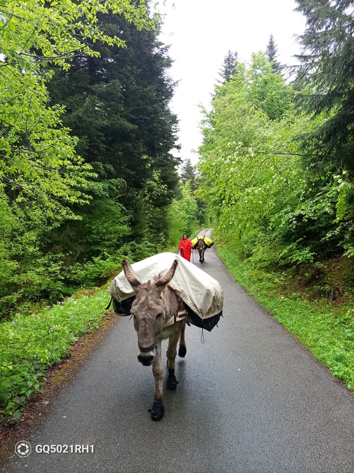 Début de matinée pluvieuse
