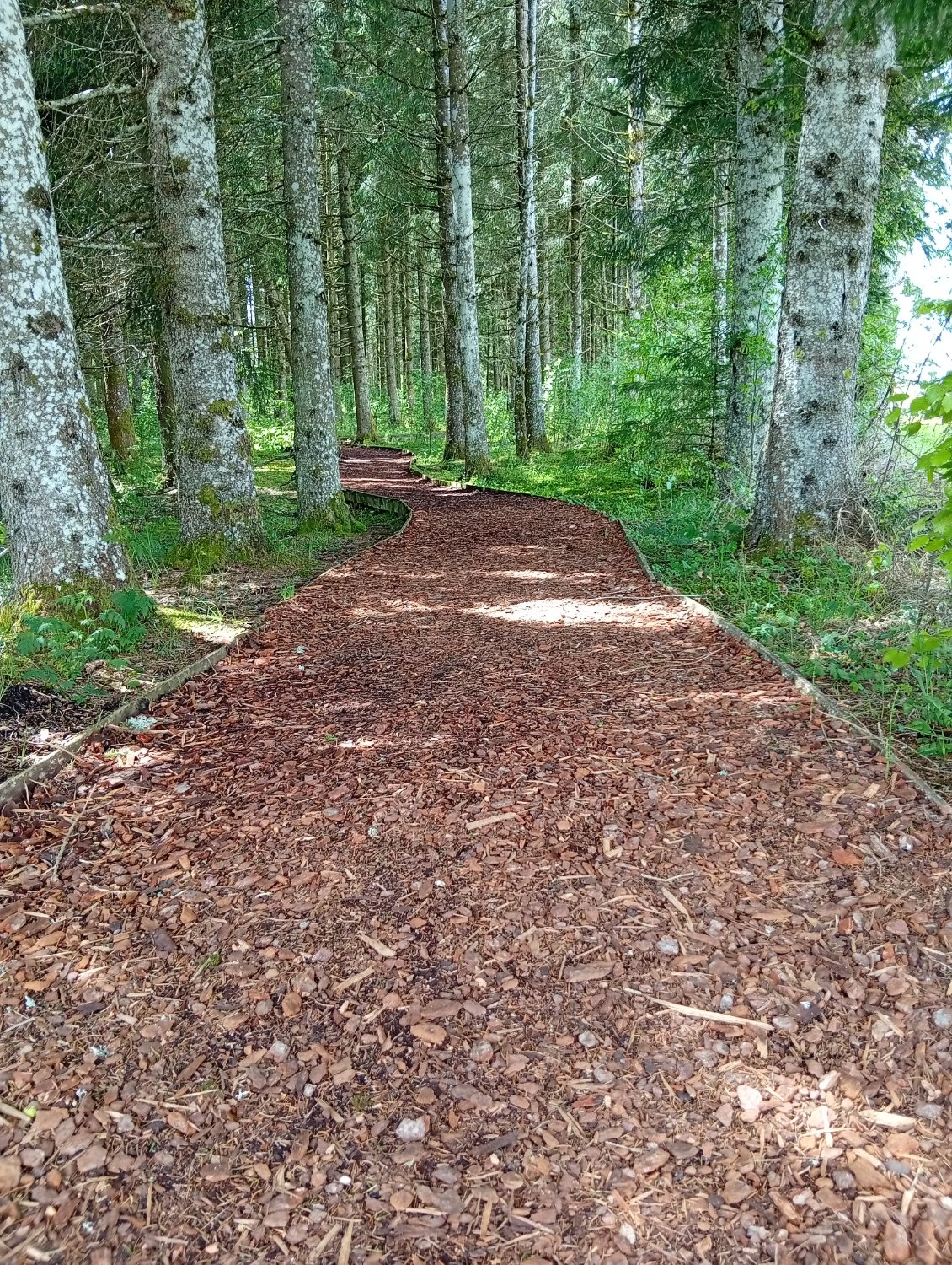 Comme une invitation à entrer...
