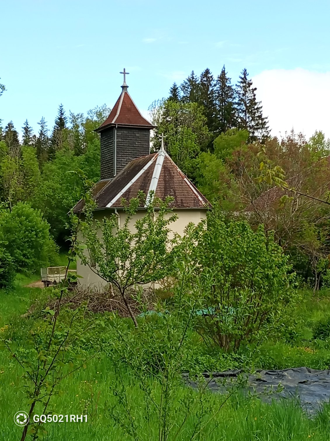 Petite surprise du coin du bois