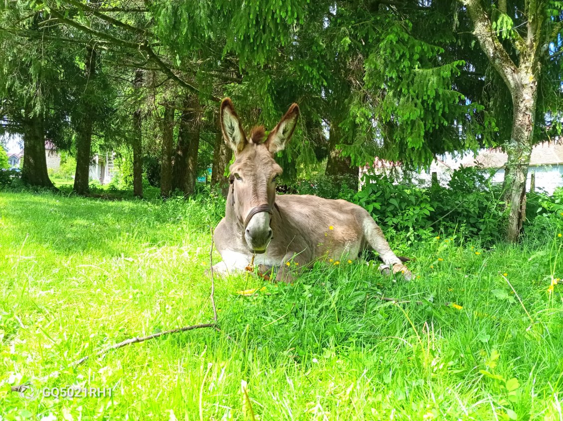 Repos pour tout le monde