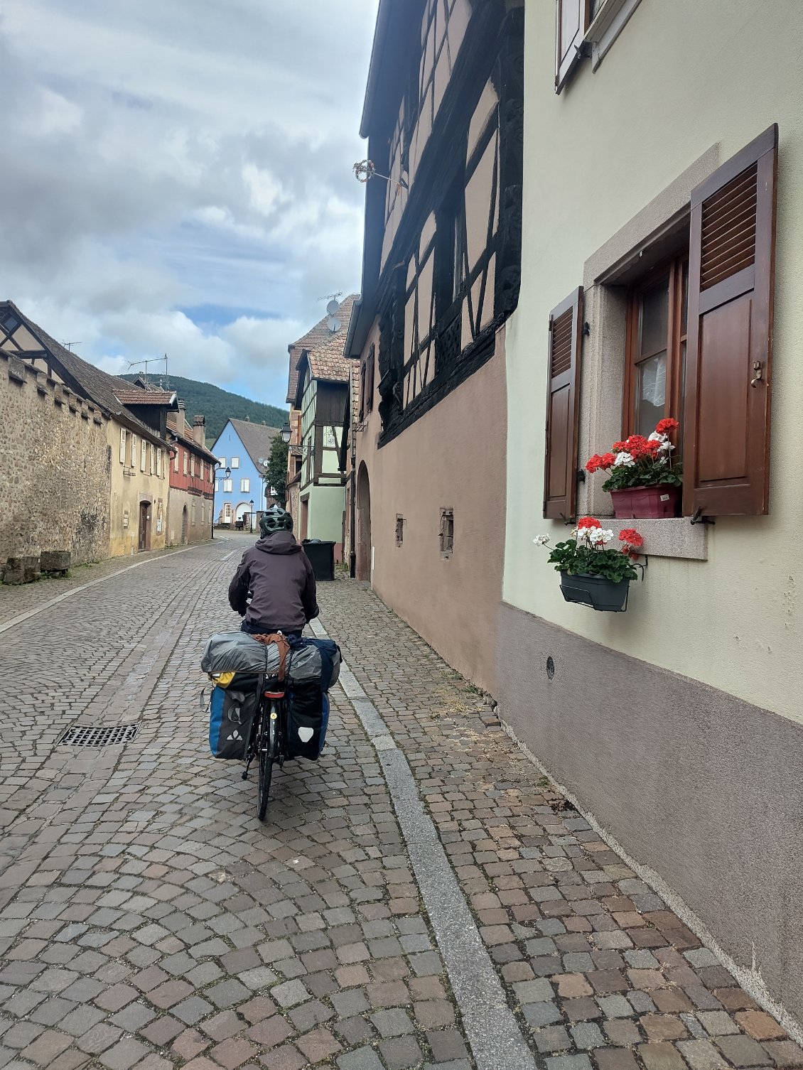 Visite de Colmar et autres villages alsaciens avec les vélos