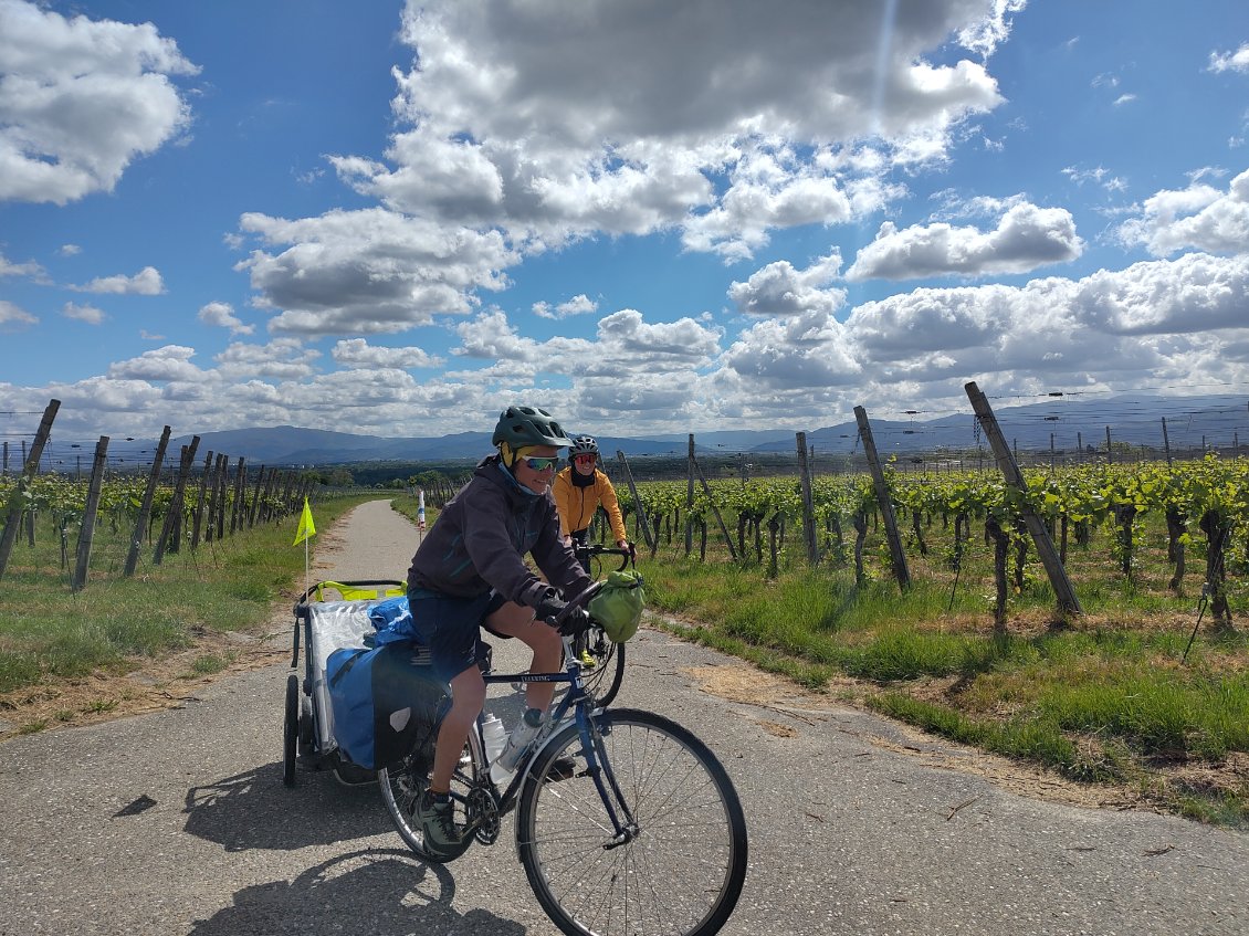 Dans les vignobles alsaciens. Ici, côté Freiburg en Allemagne !