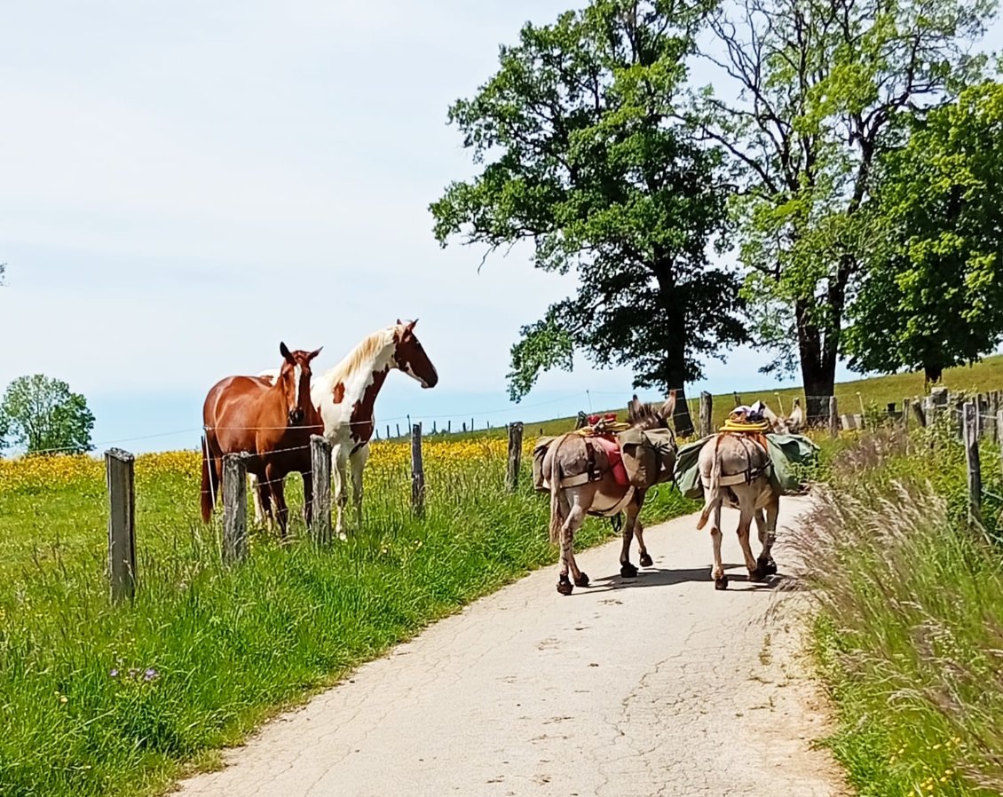Je crois qu'ils aimeraient bien aussi prendre les chemins