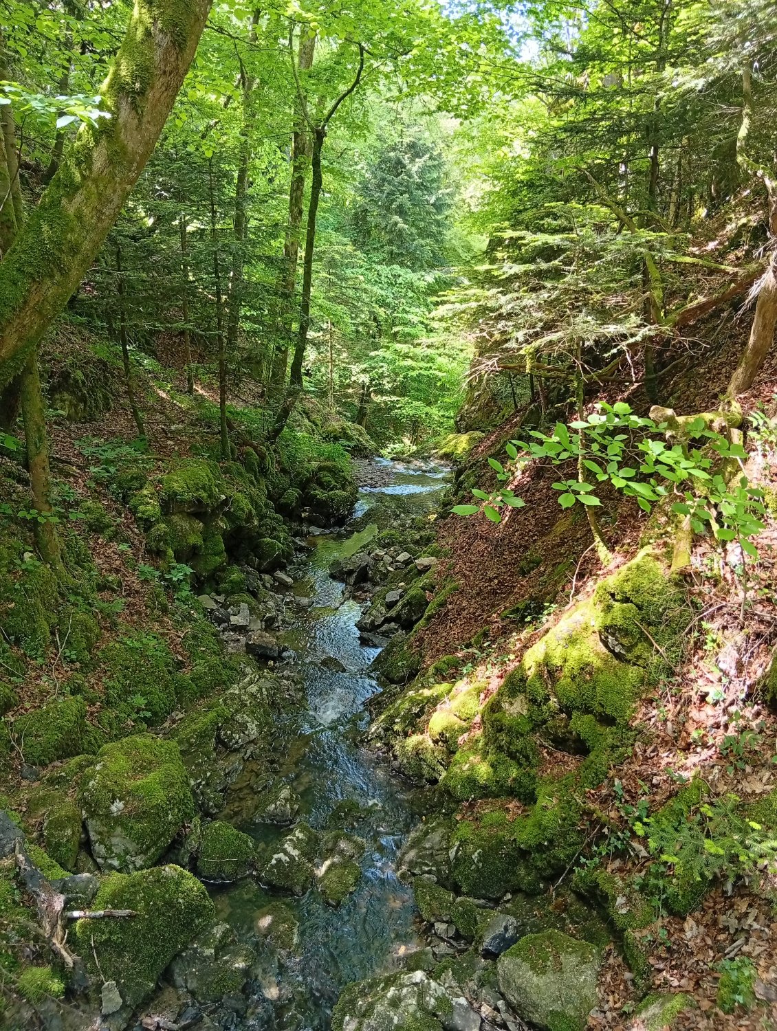 Chemin secret, chutttt !