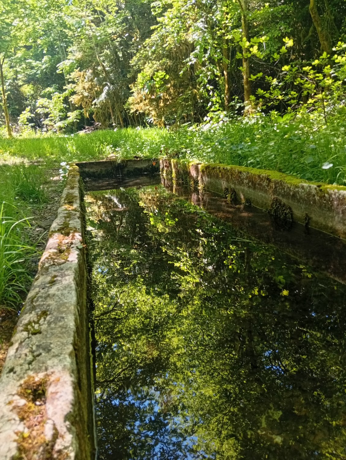 La source de Bru, le rendez-vous des bergers et des bergères