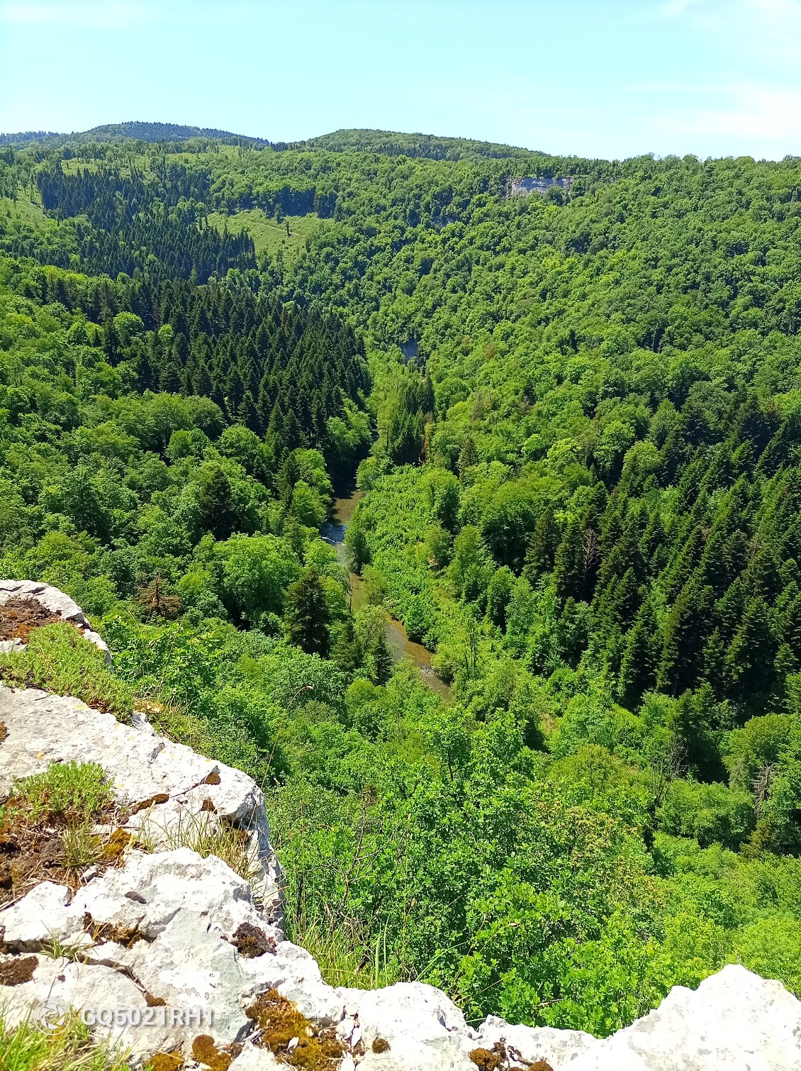 Les gorges du Lison