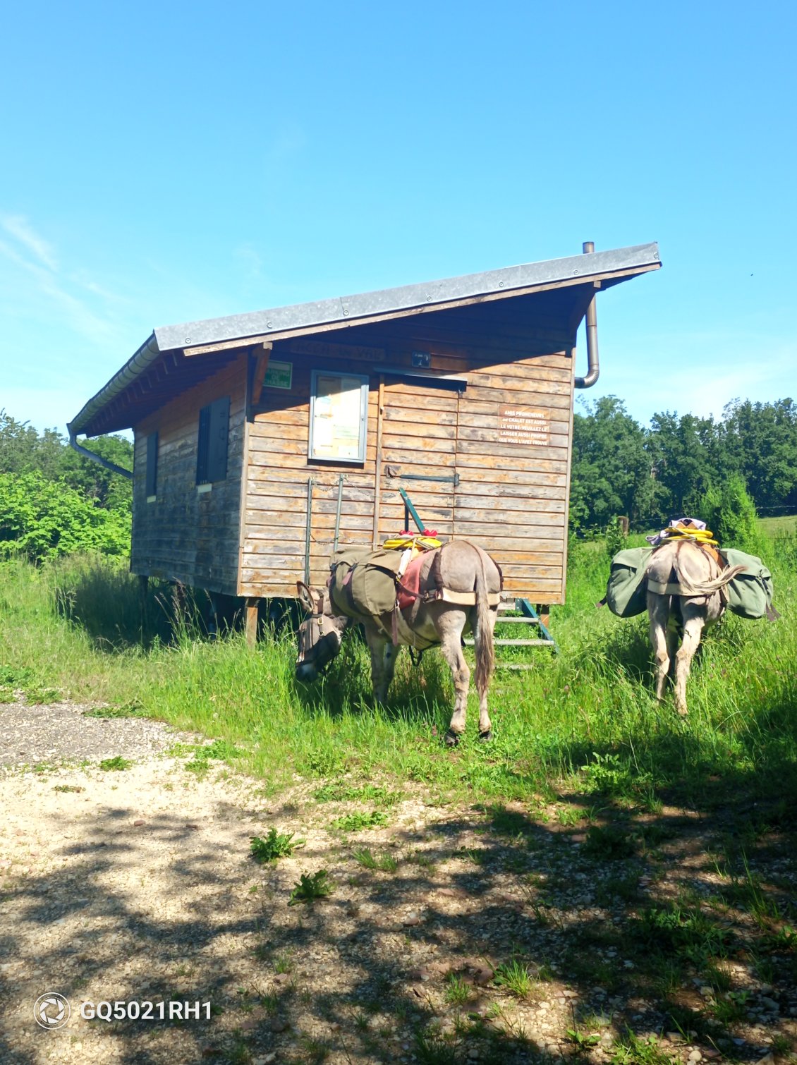 De l'herbe, une porte ouverte, on aurait pu passer la nuit dans cette belle cabane.