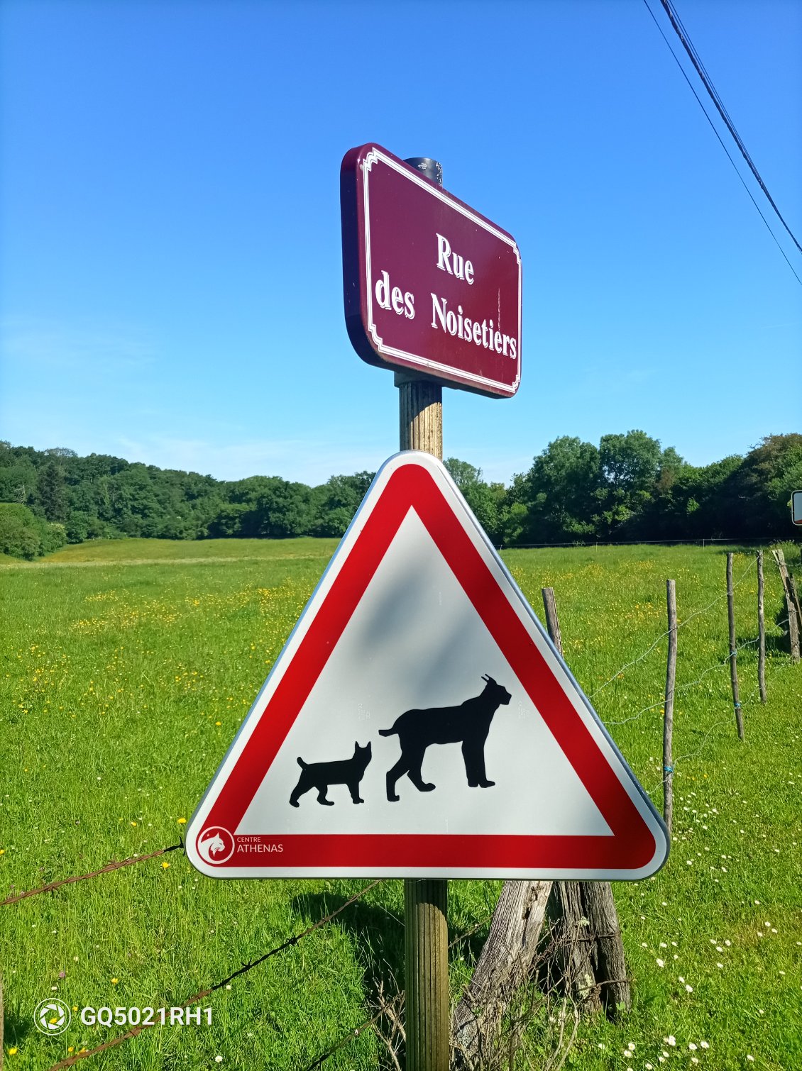 Dans le Jura, nous avions parlé du lynx et bien ce panneau nous indique qu'il ne doit pas être très loin