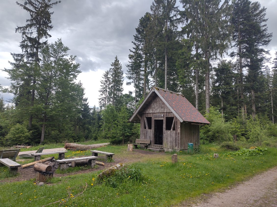 Les innombrables abris dans la forêt noire