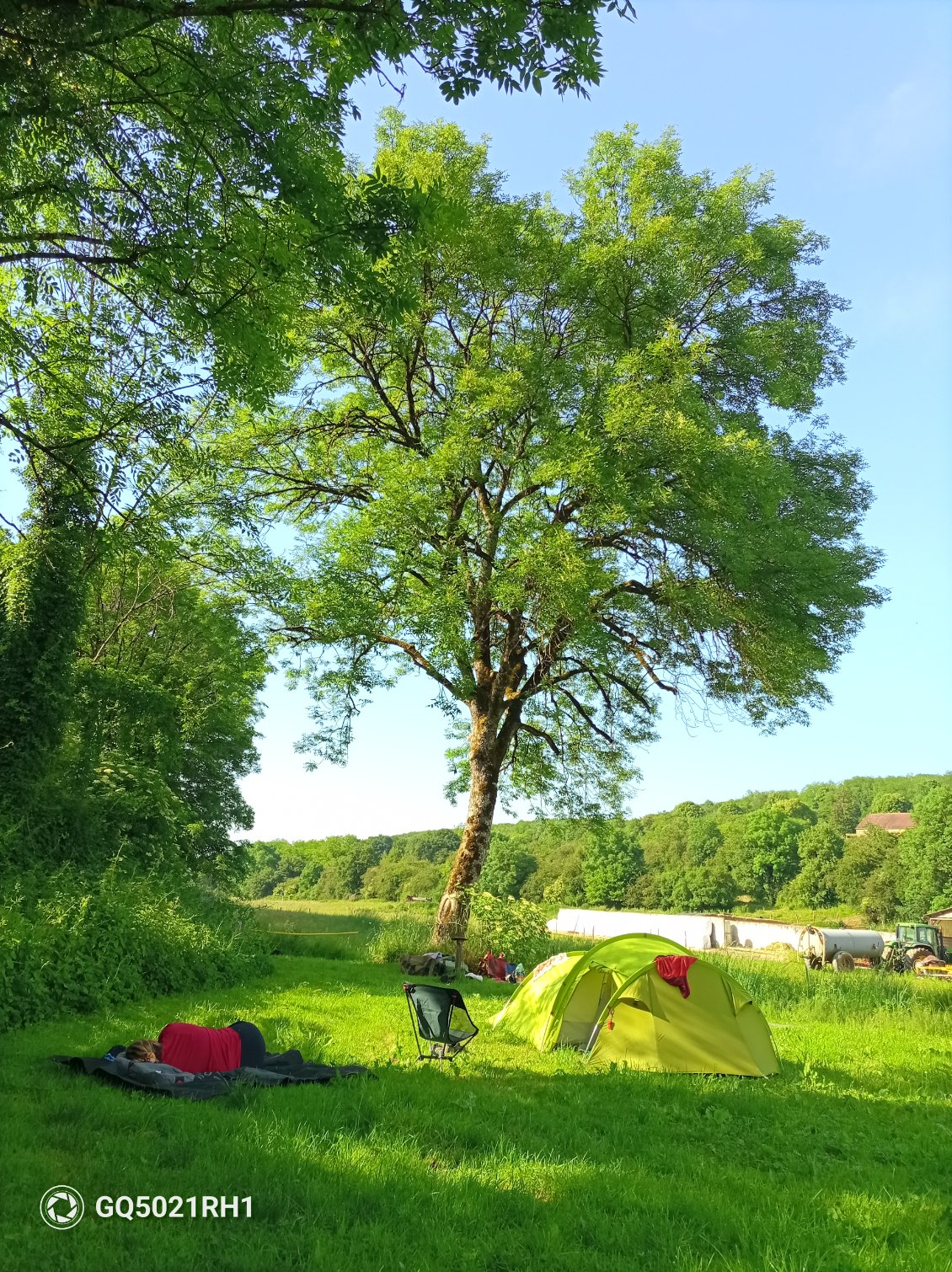 Carole est en pleine sieste à l'ombre des frênes