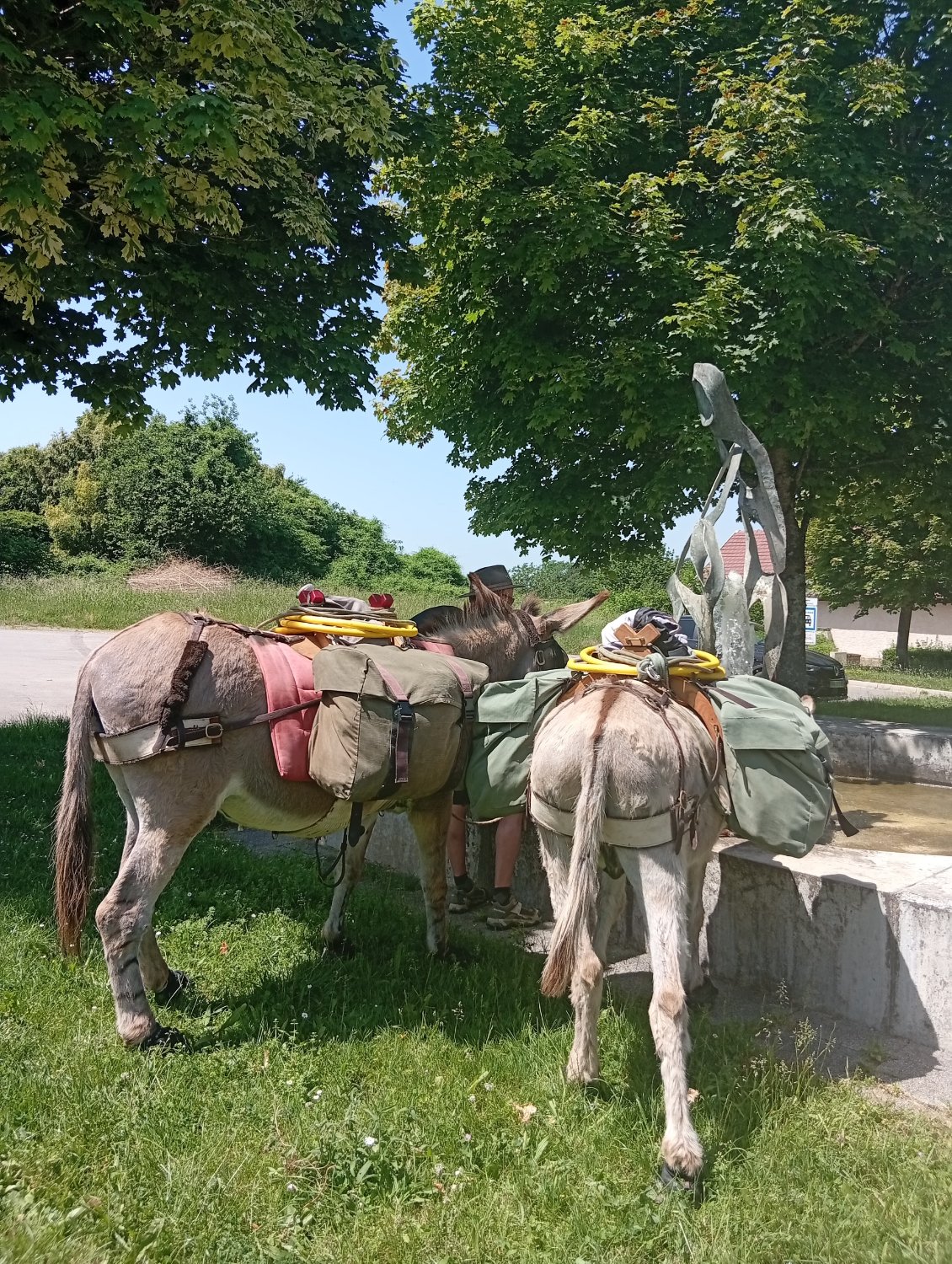 Arrêt à la fontaine