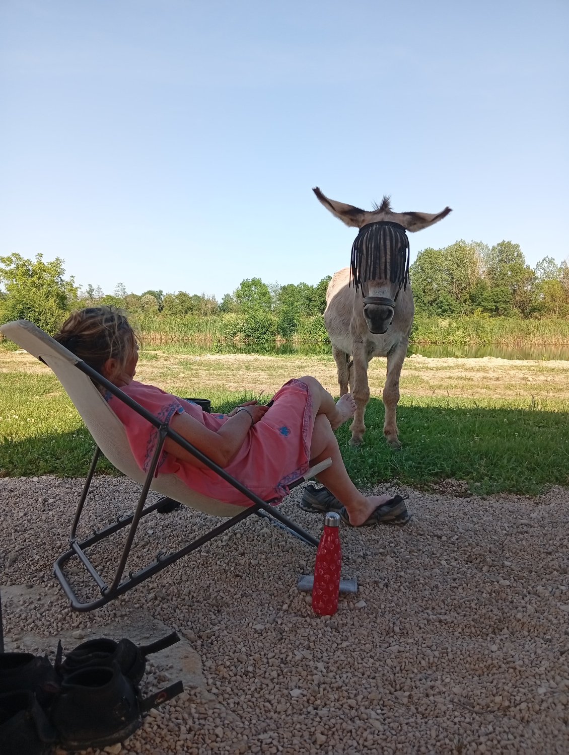 Tête à tête de mules 😜