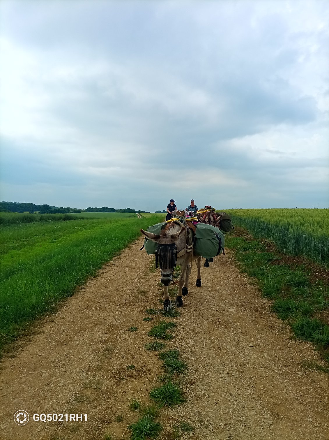 C'est bien de partager le chemin