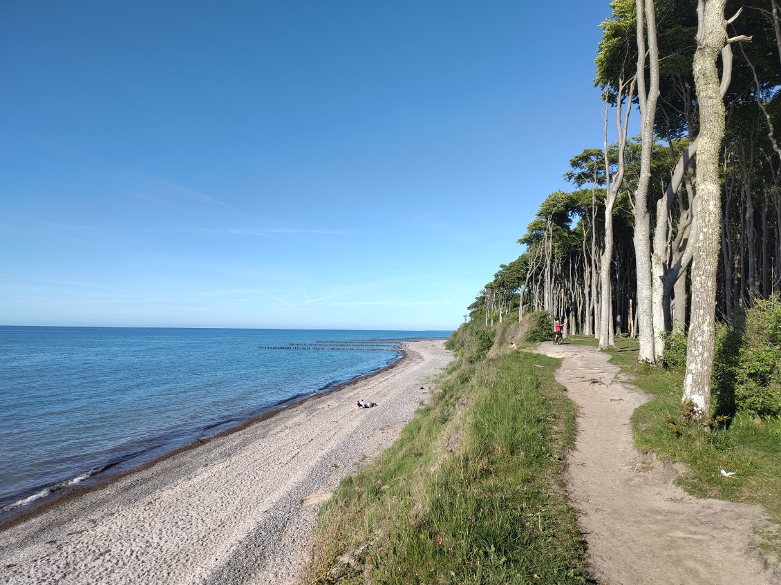 Certains passages sont forestiers au bord de la mer Baltique et ça rend les étapes très variées 