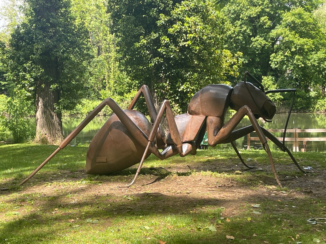 Fourmi géante exposée dans le parc