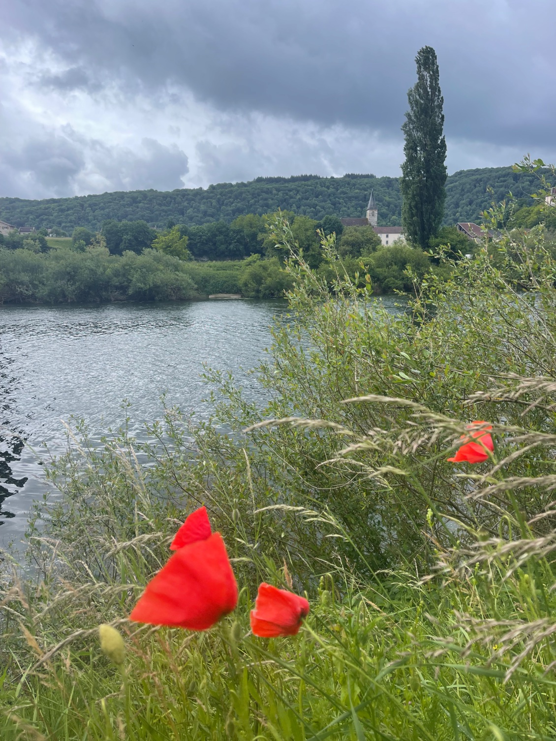 La vallée du Doubs serpente inlassablement entre des collines coiffées de bois sauvages et de barres rocheuses