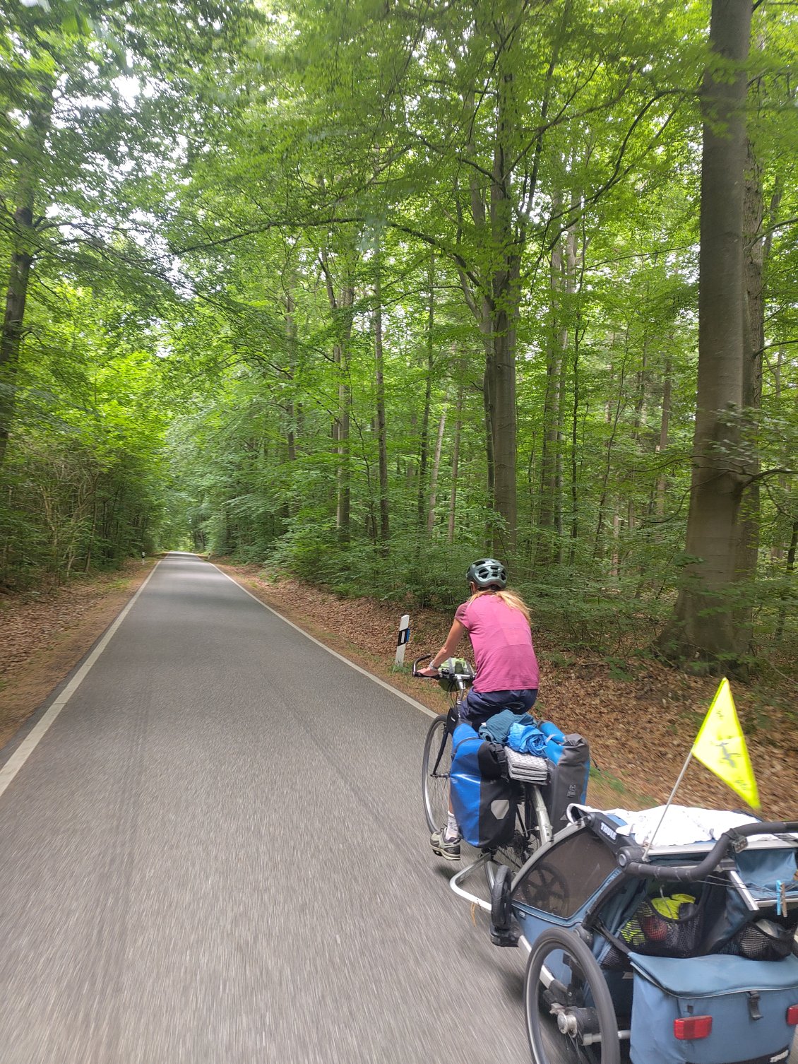 De nombreuses pistes cyclables dédiées, le long des routes ou en forêt, bord de mer, dans les champs...