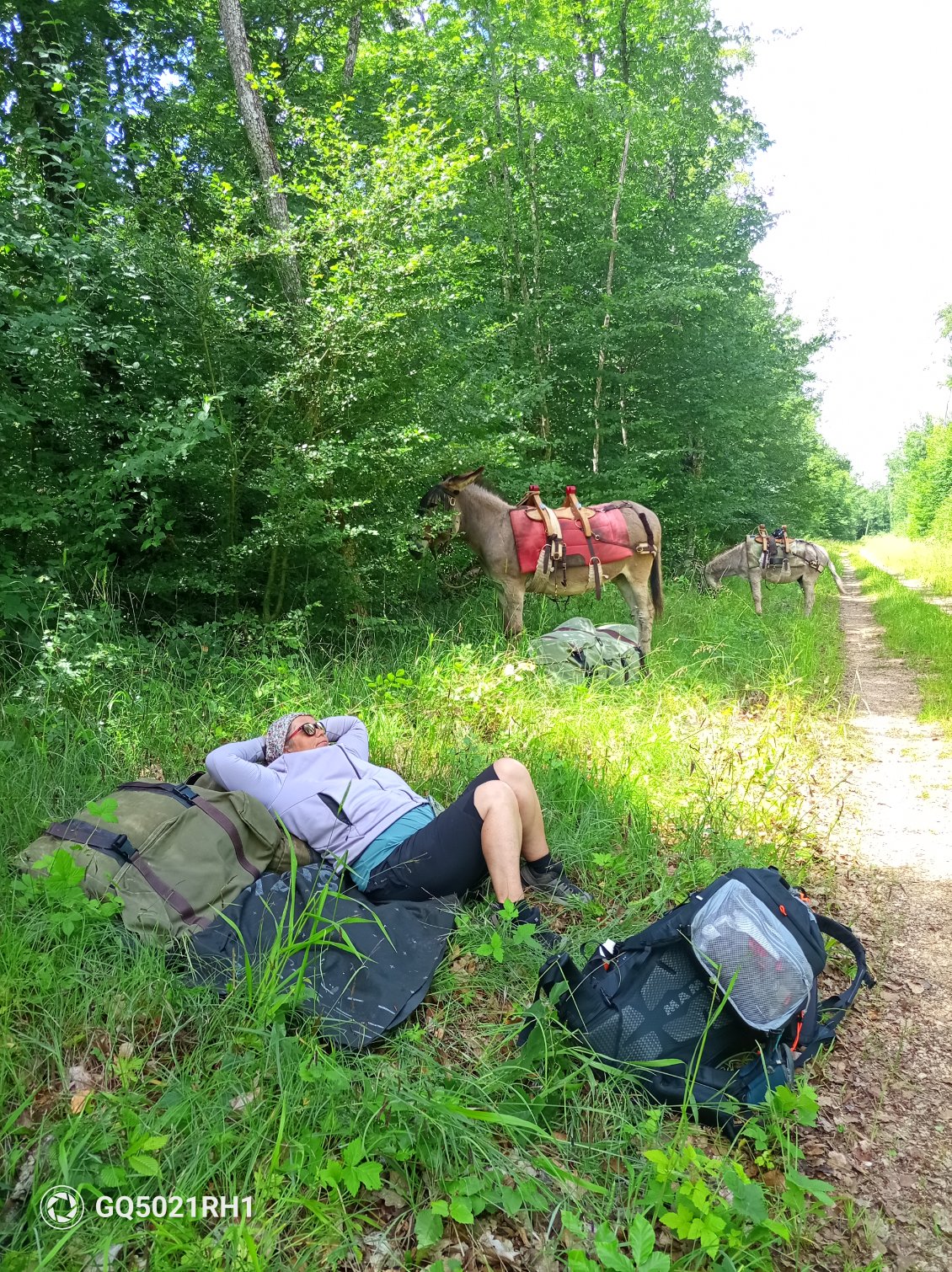 Petite pause d'après repas pour tout le monde
