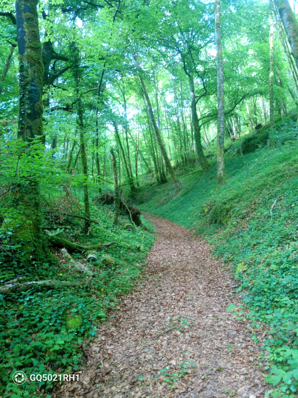 Monter les coteaux boisés avant de traverser le plateau, descendre la forêt et rebelote