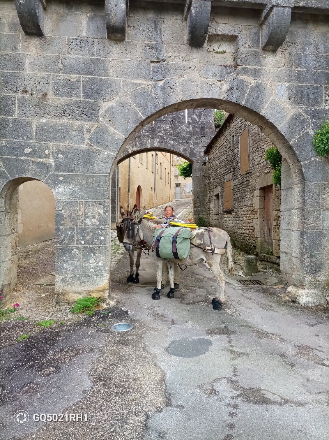 Les "ânis" de Flavigny