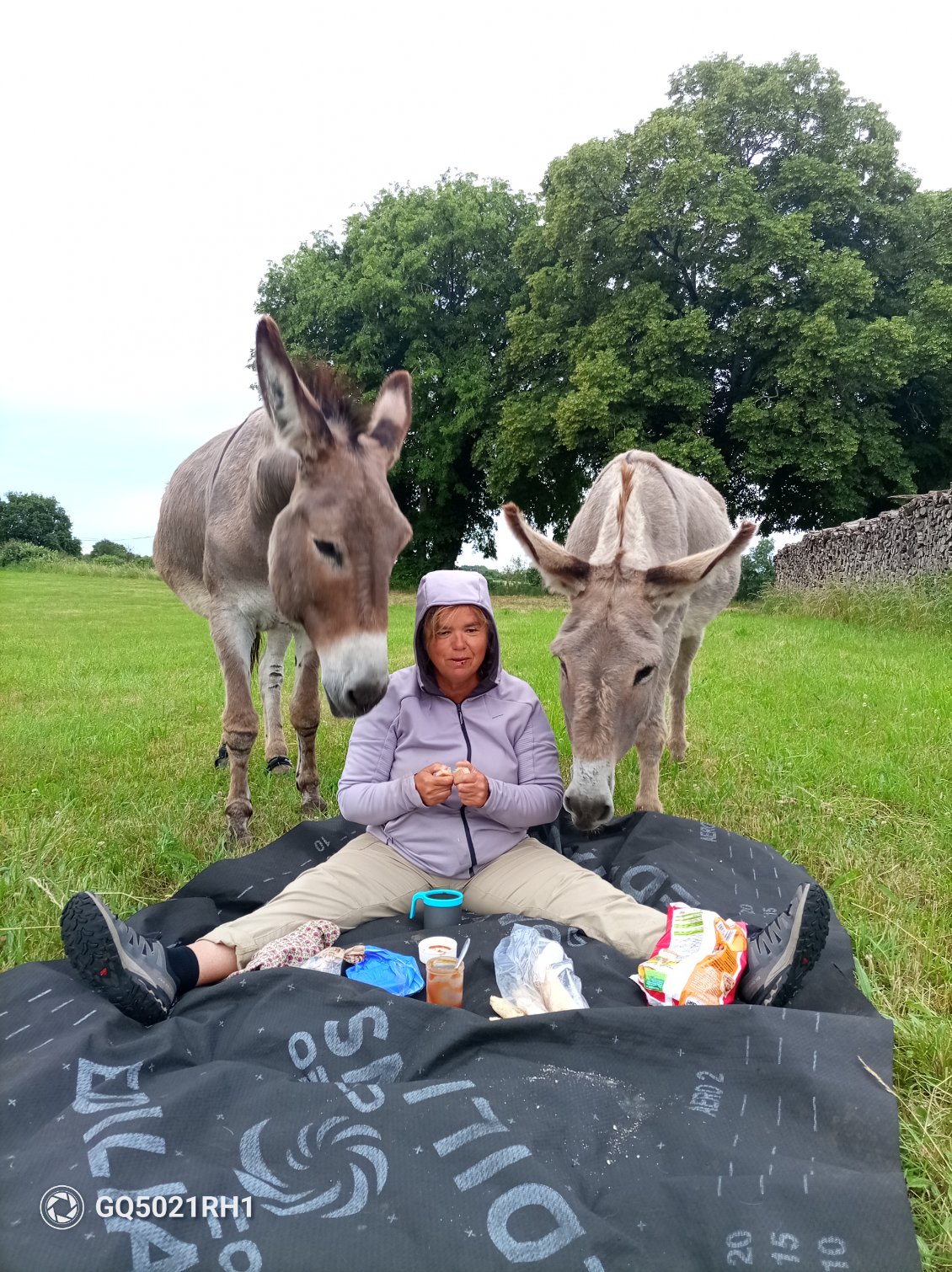 Nous avons eu le temps de plier la tente et de ranger les affaires avant la pluie.
Le petit déjeuner intéresse aussi les
ânes